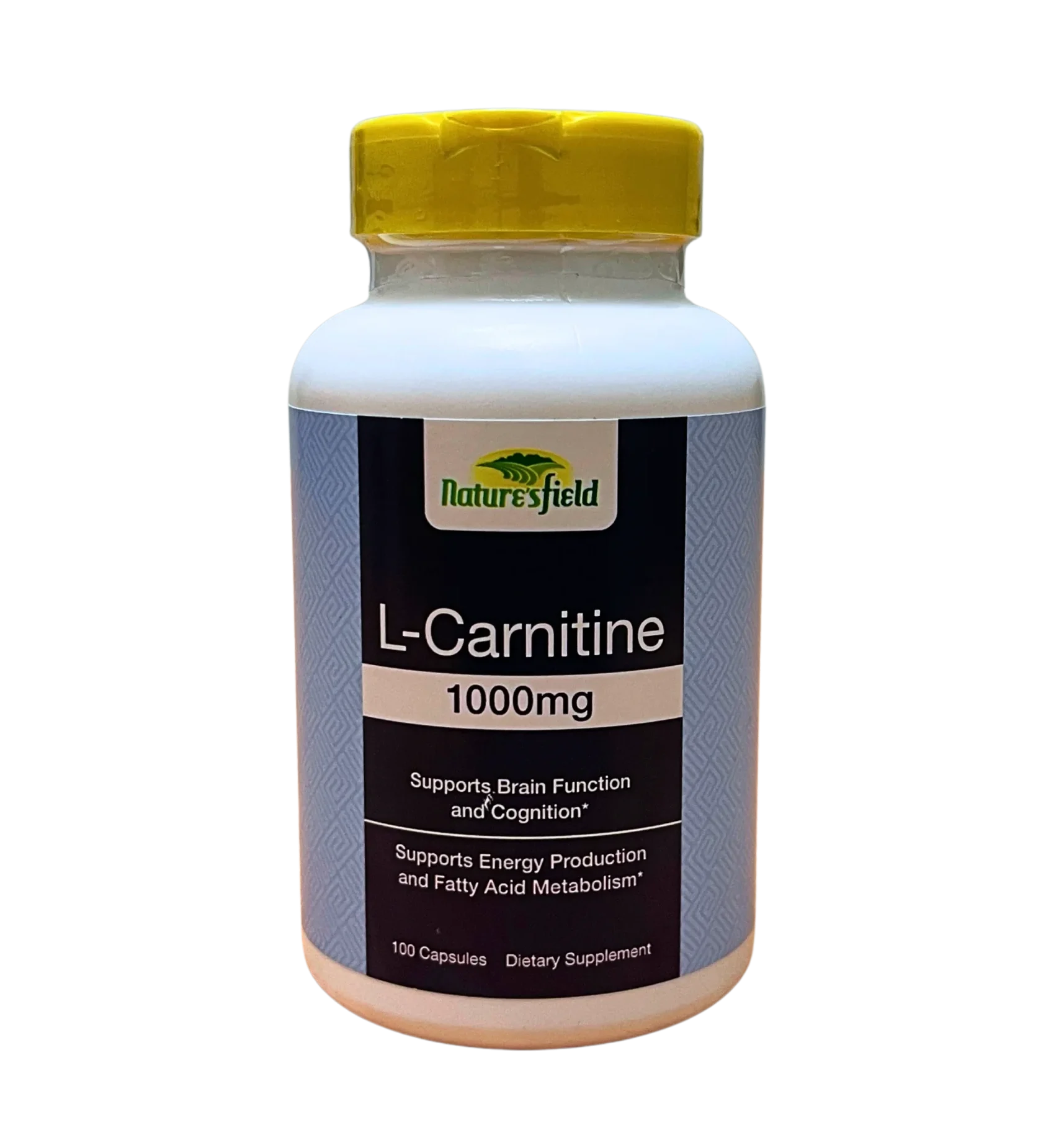 L-Carnitine 1000mg by 100