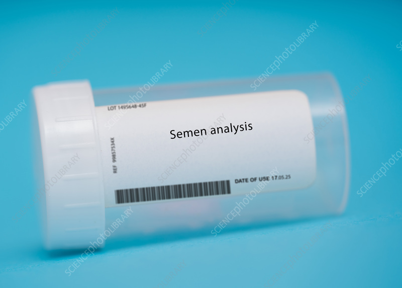 Semen Analysis
